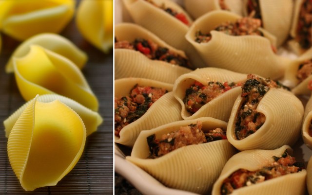pasta shells