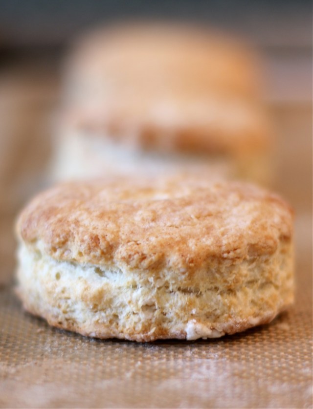 Southern Buttermilk Biscuits and Gravy | daisysworld.net Southern Buttermilk Biscuits and Gravy