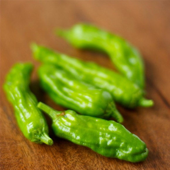 Grilled Artichokes with Shishito Pepper Aioli 